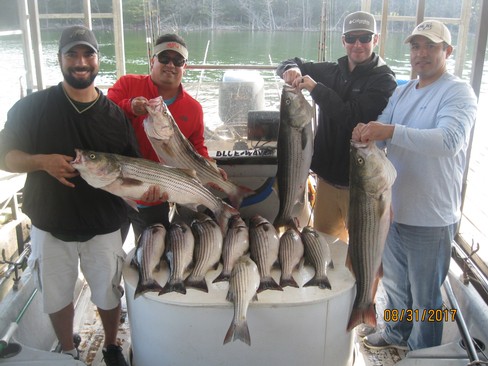 Nice Striped Bass